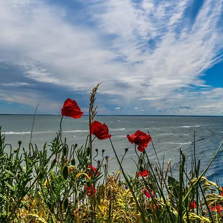 Strandidyll Neubau E4 Binz