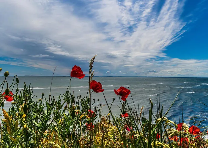 Strandidyll Neubau E4 Binz